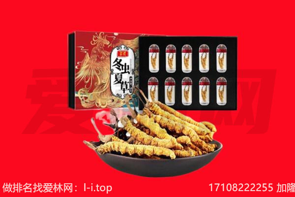 十堰市郧阳回收虫草.jpg